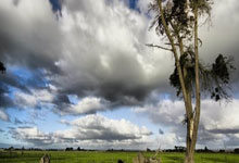 包含清晨波士顿凯尔特人刷新队史纪录：葡超节点到来，气氛紧张，赛程密集仍需轮换的词条